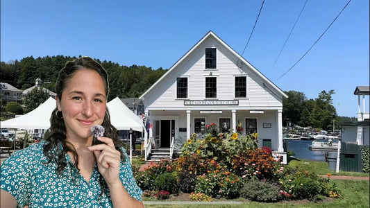 Wild Goose Country Store - A Destination Gift Shop